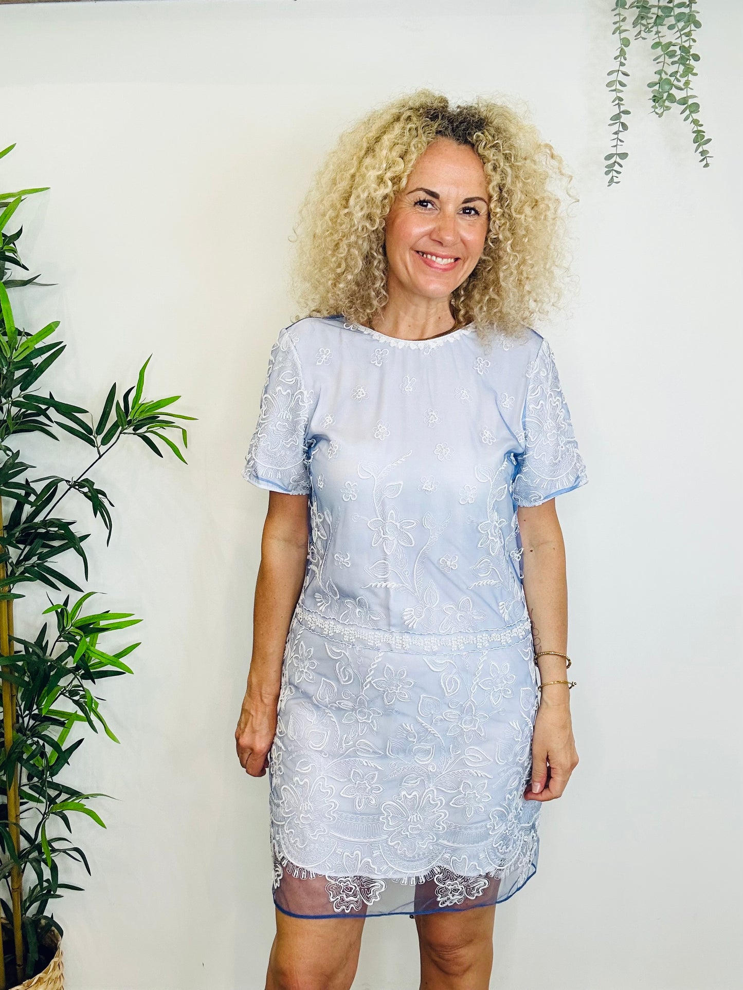 Embroidered Mesh Dress - Size 12