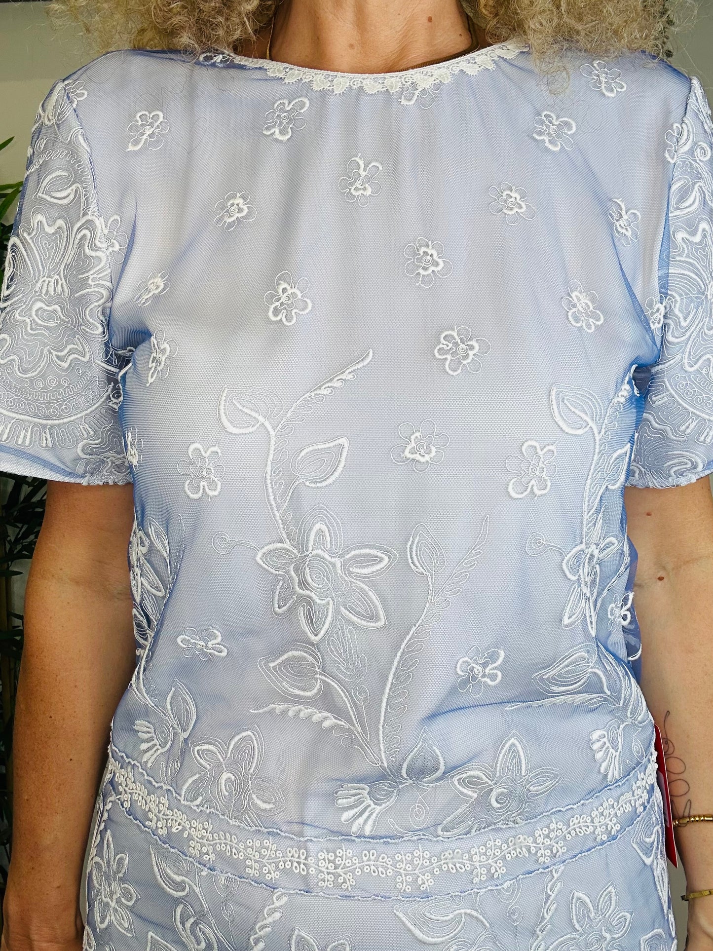 Embroidered Mesh Dress - Size 12
