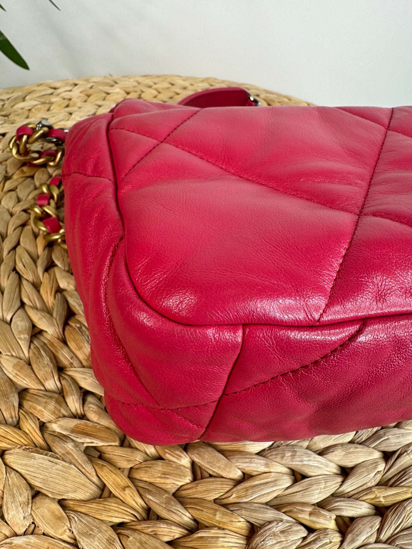 Medium Chanel 19 Bag