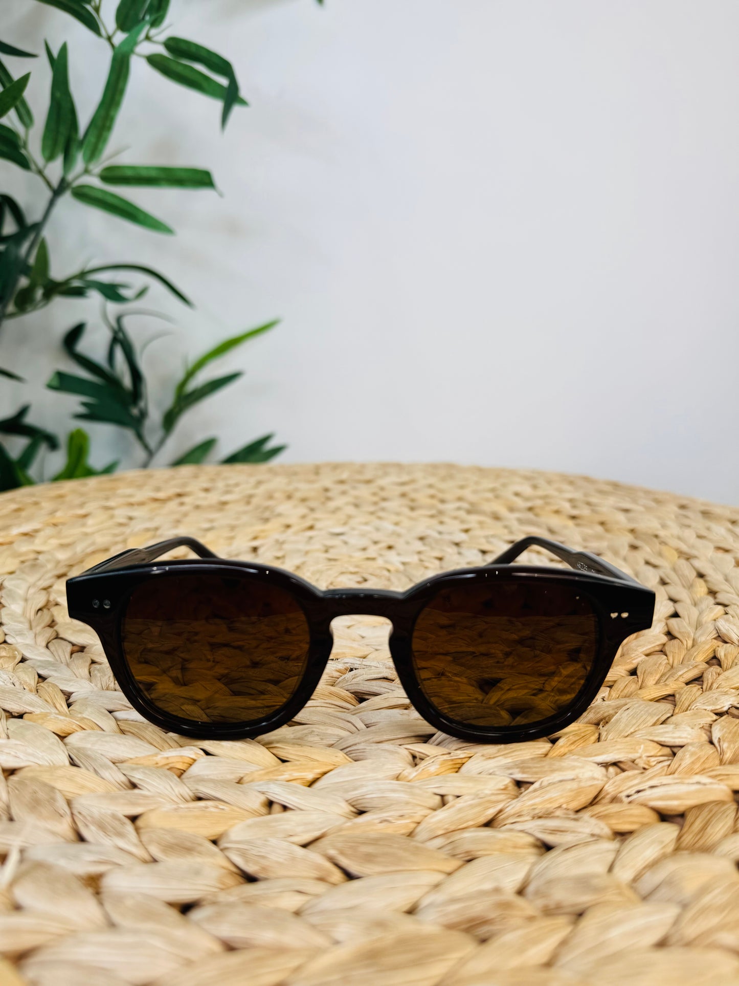 Brown 01 Sunglasses