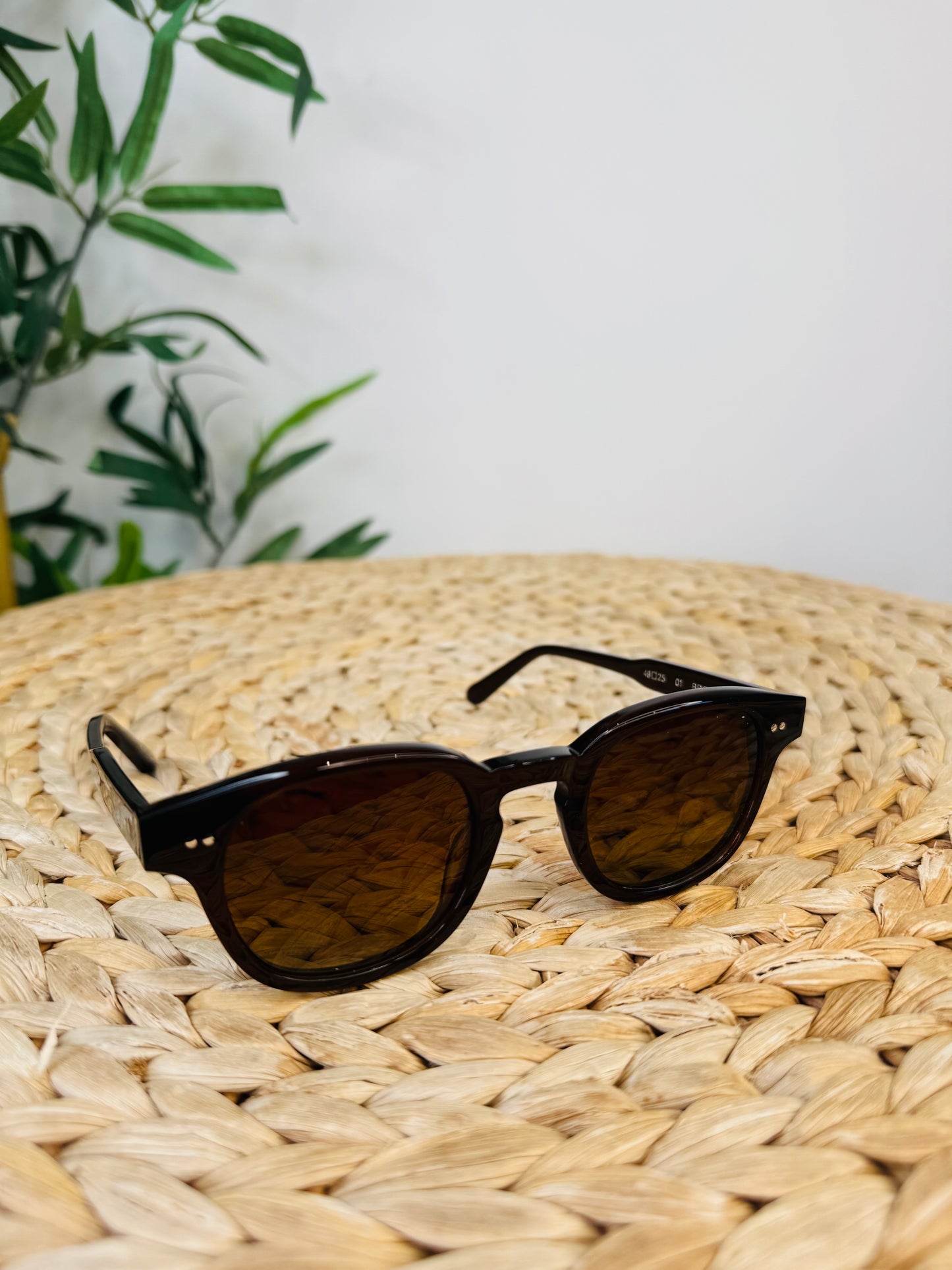 Brown 01 Sunglasses