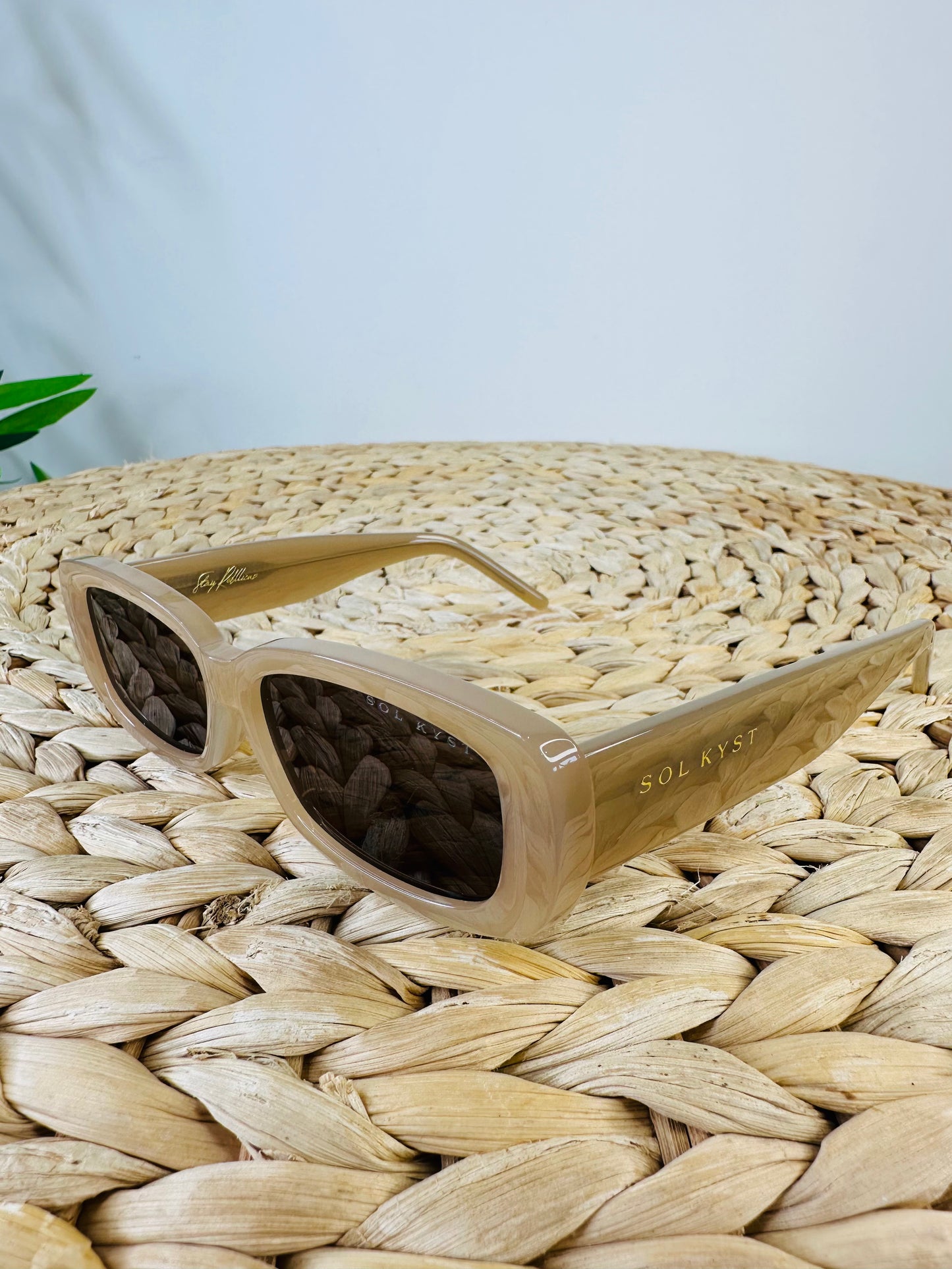 Rectangular Sunglasses