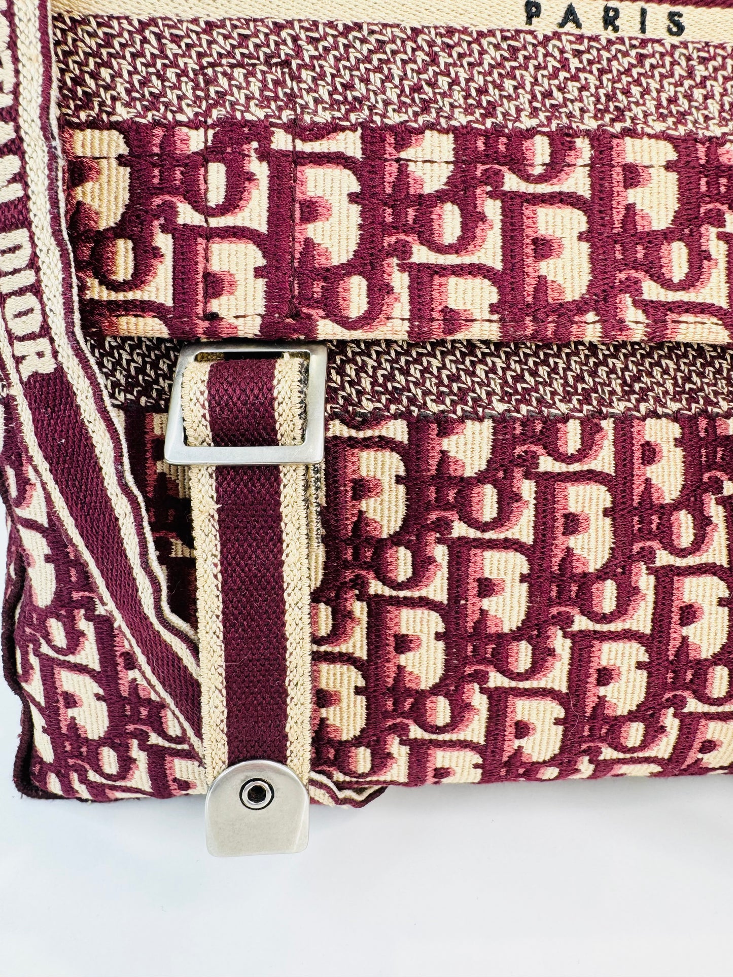 Medium Oblique Diorcamp Bag