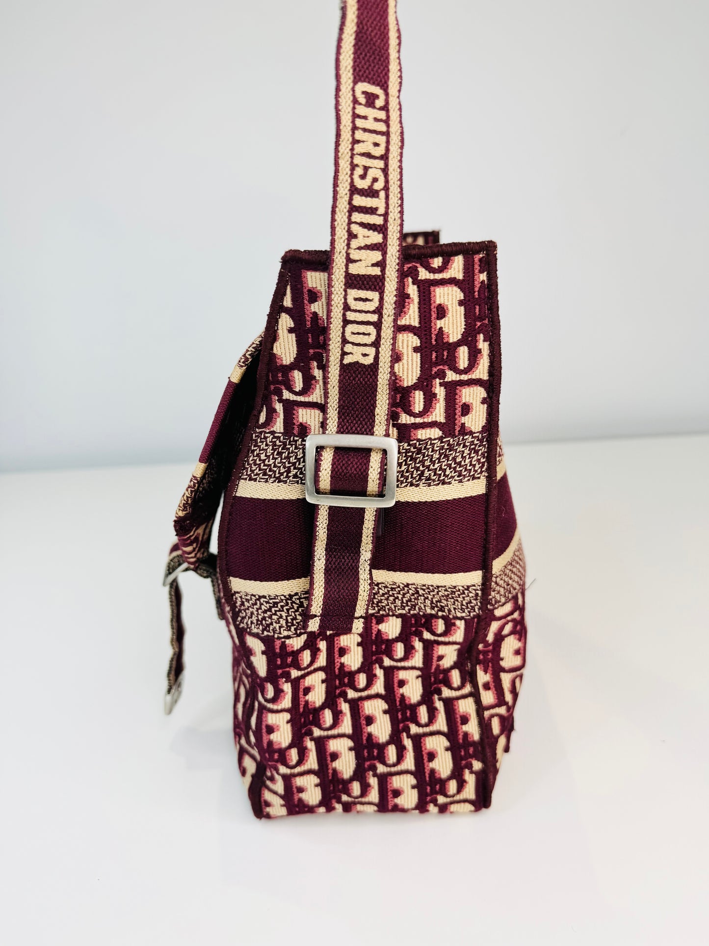 Medium Oblique Diorcamp Bag