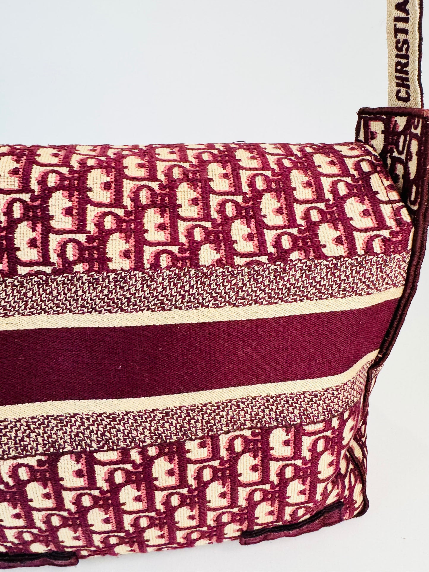 Medium Oblique Diorcamp Bag