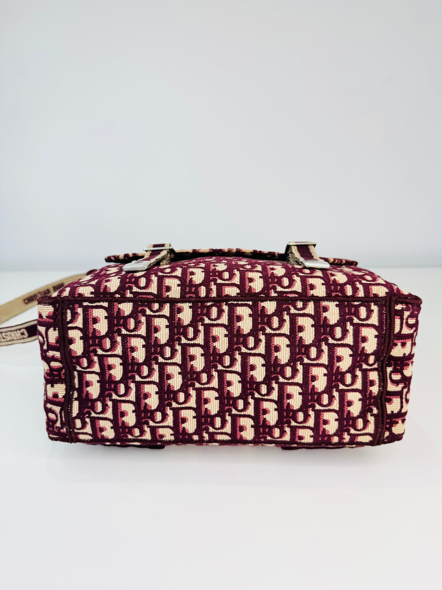 Medium Oblique Diorcamp Bag