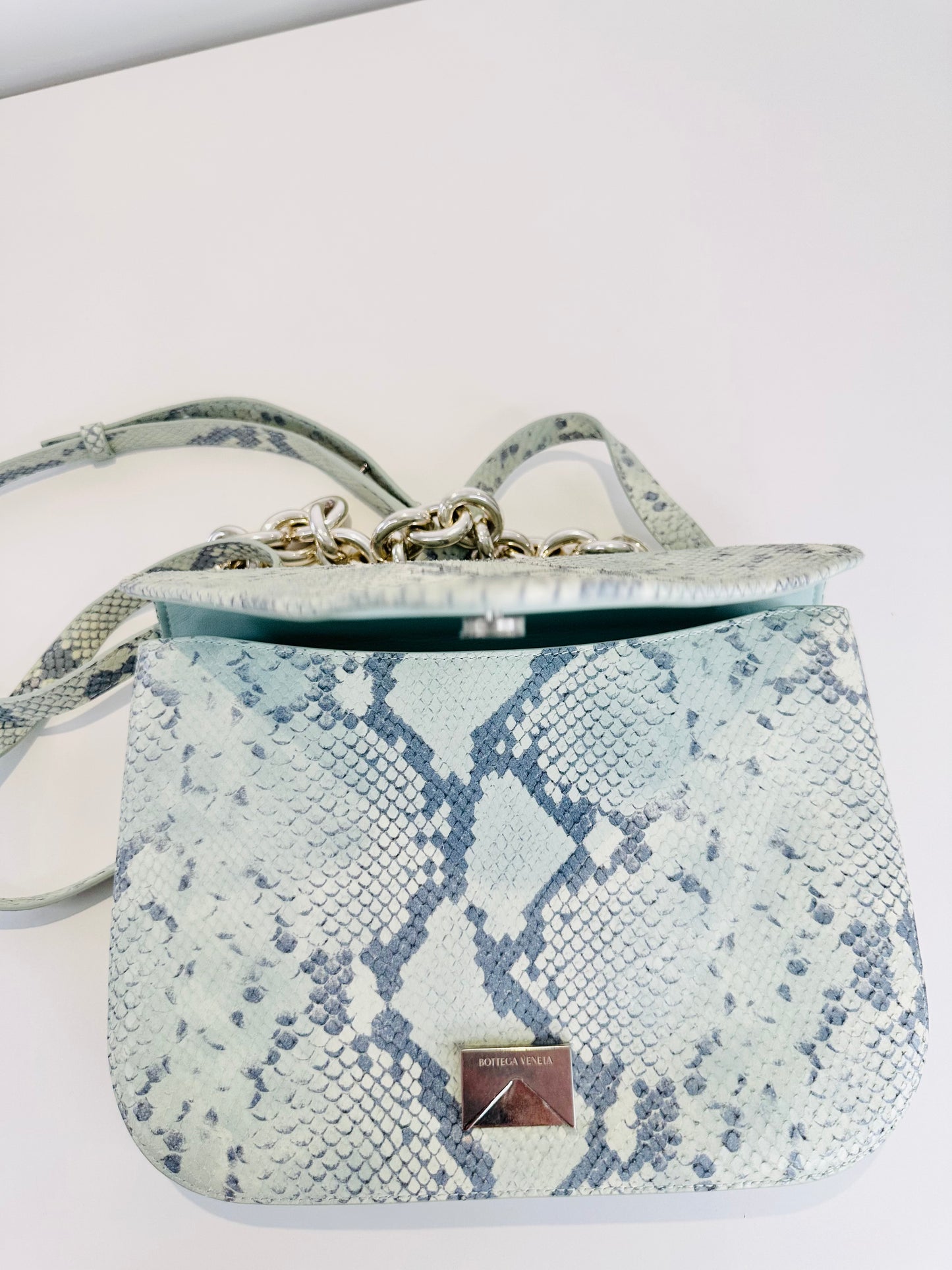 Snakeskin Embossed Leather Mount Envelope Bag