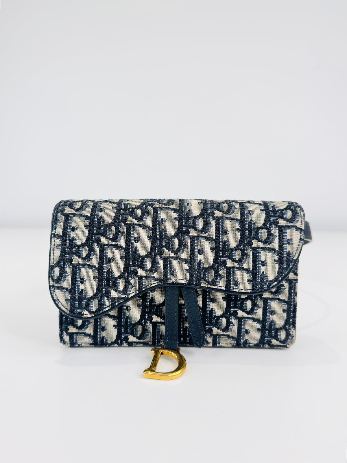 Oblique Canvas Saddle Belt Bag