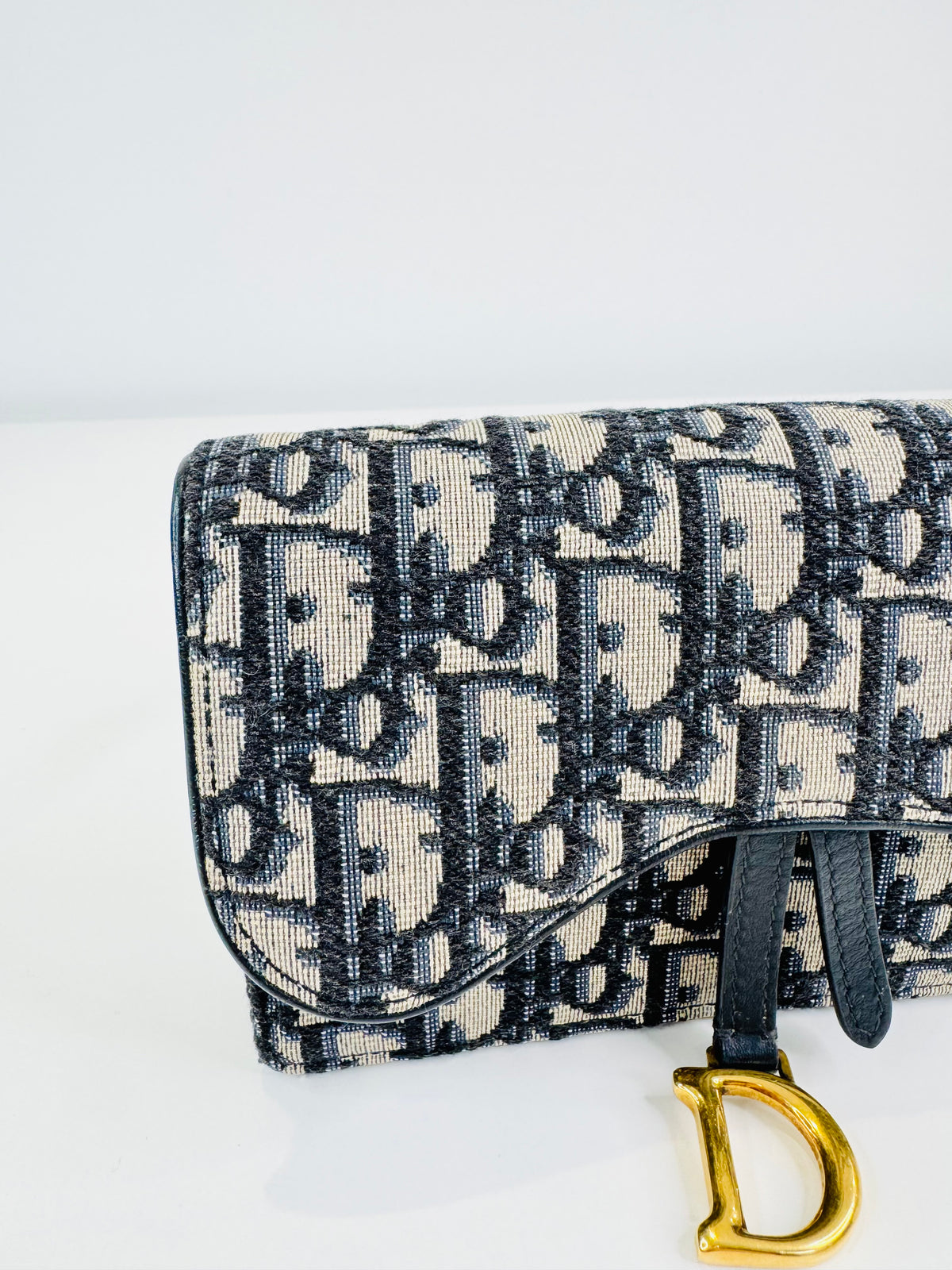 Oblique Canvas Saddle Belt Bag
