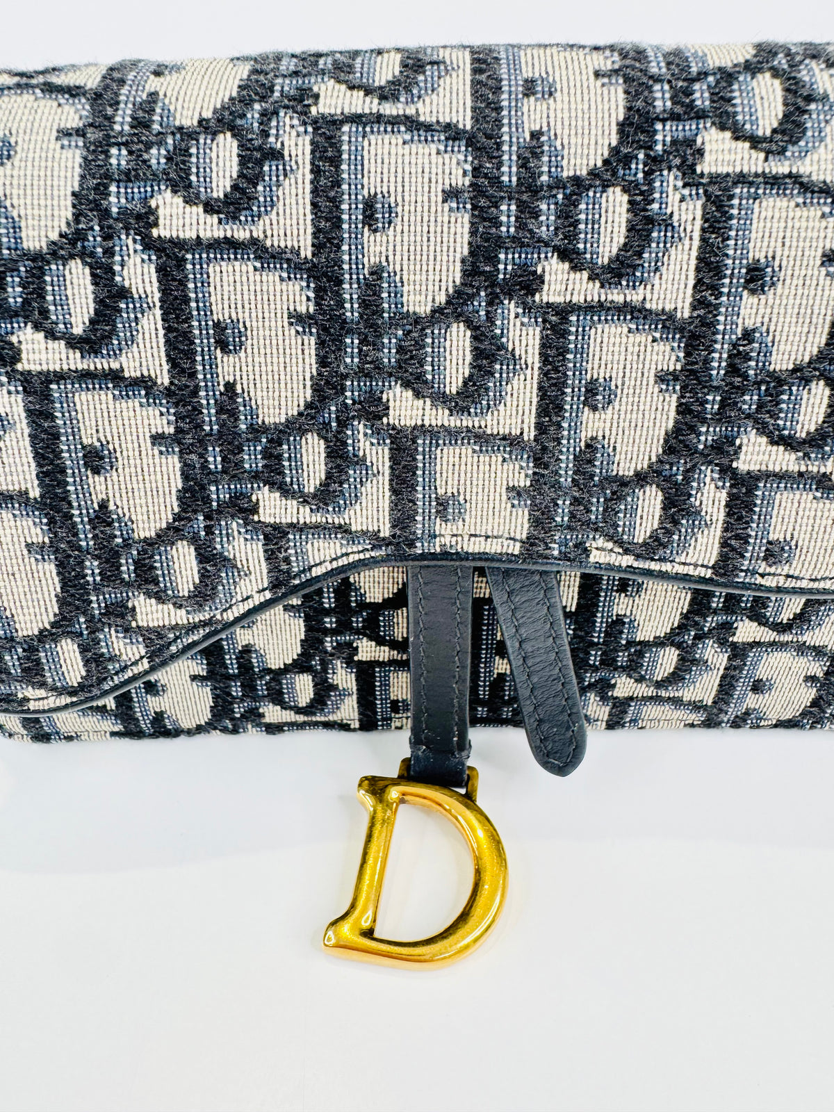 Oblique Canvas Saddle Belt Bag