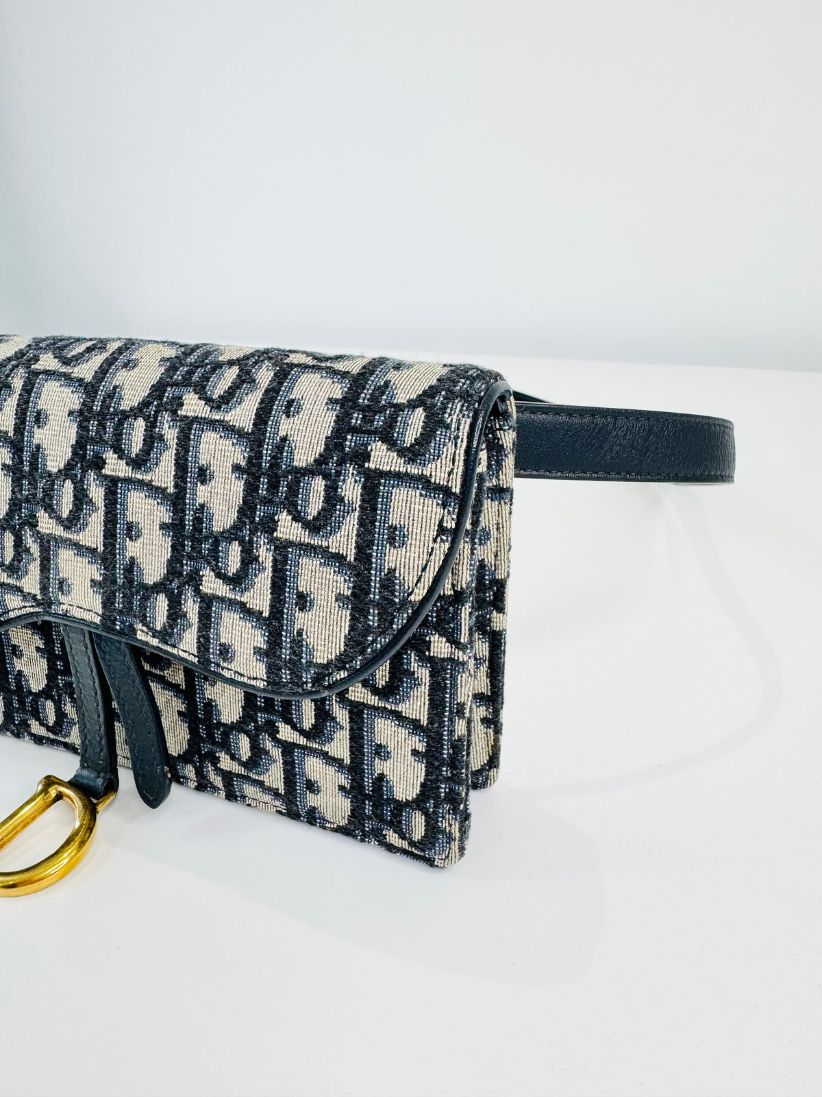 Oblique Canvas Saddle Belt Bag