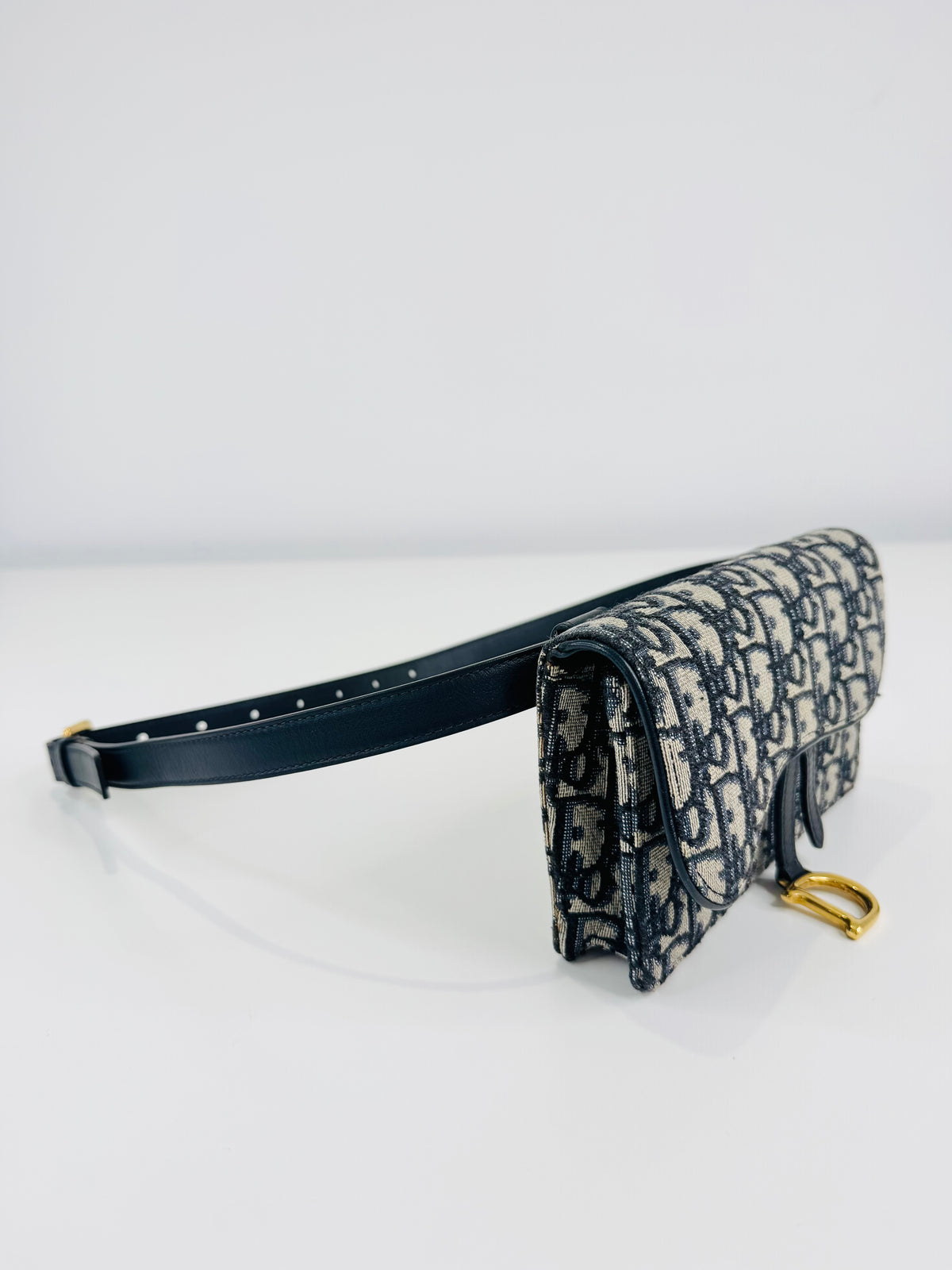 Oblique Canvas Saddle Belt Bag
