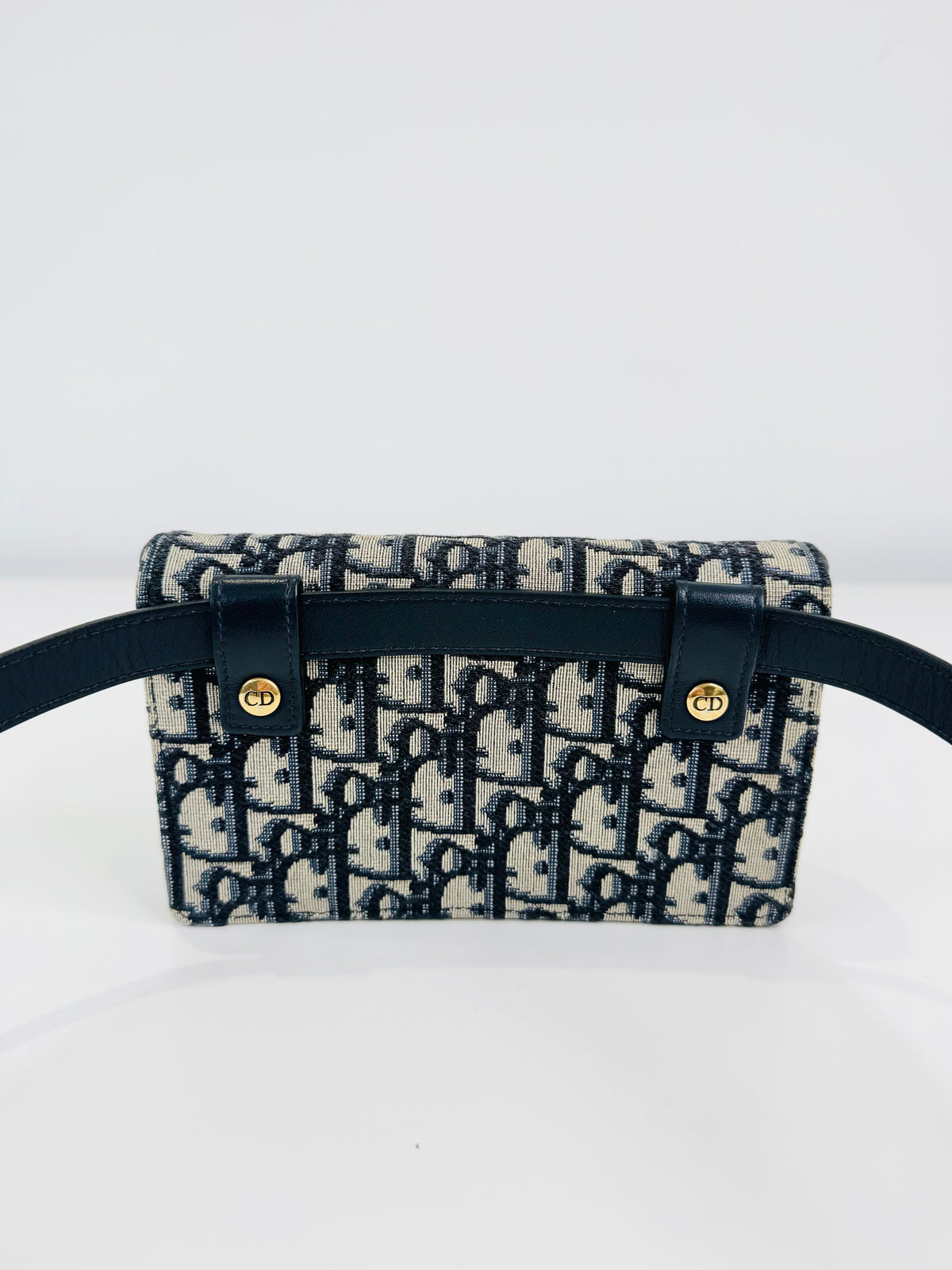 Oblique Canvas Saddle Belt Bag