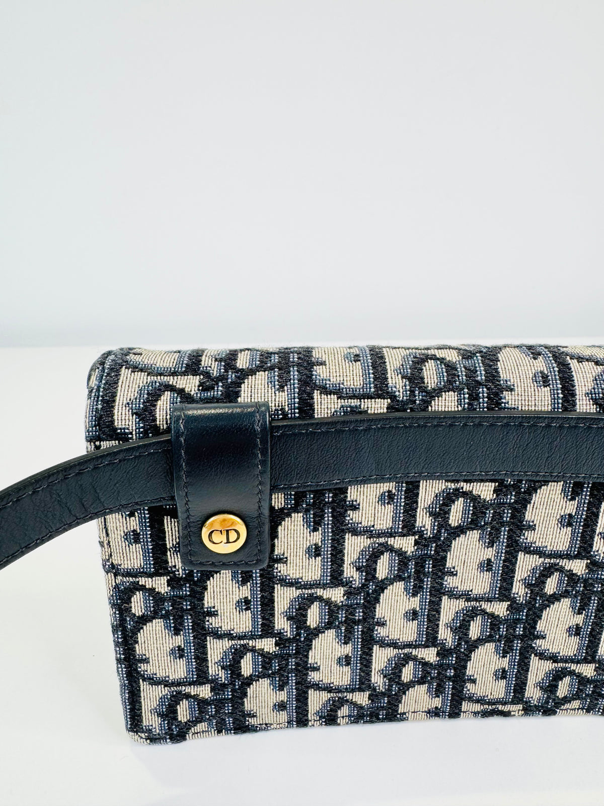 Oblique Canvas Saddle Belt Bag