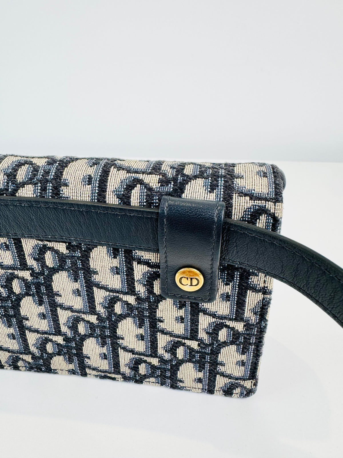 Oblique Canvas Saddle Belt Bag