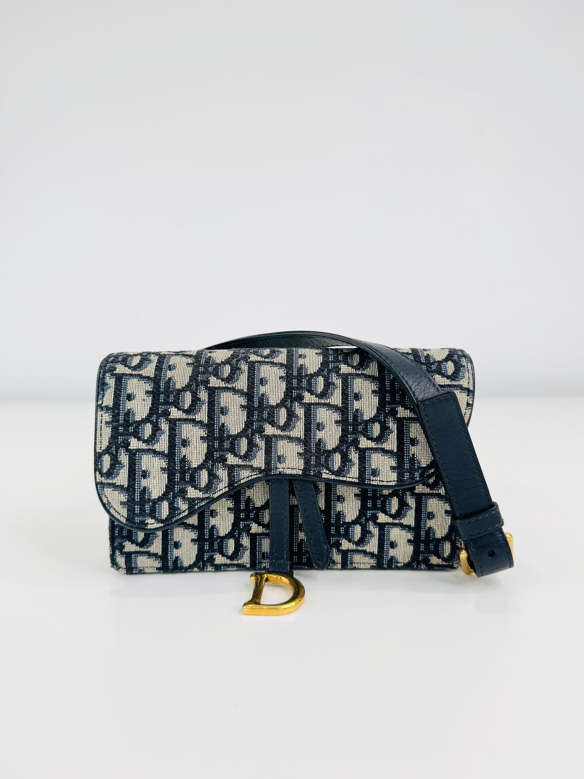 Oblique Canvas Saddle Belt Bag
