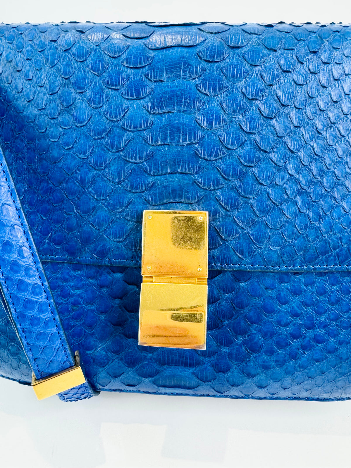 Medium Python Skin Box Bag