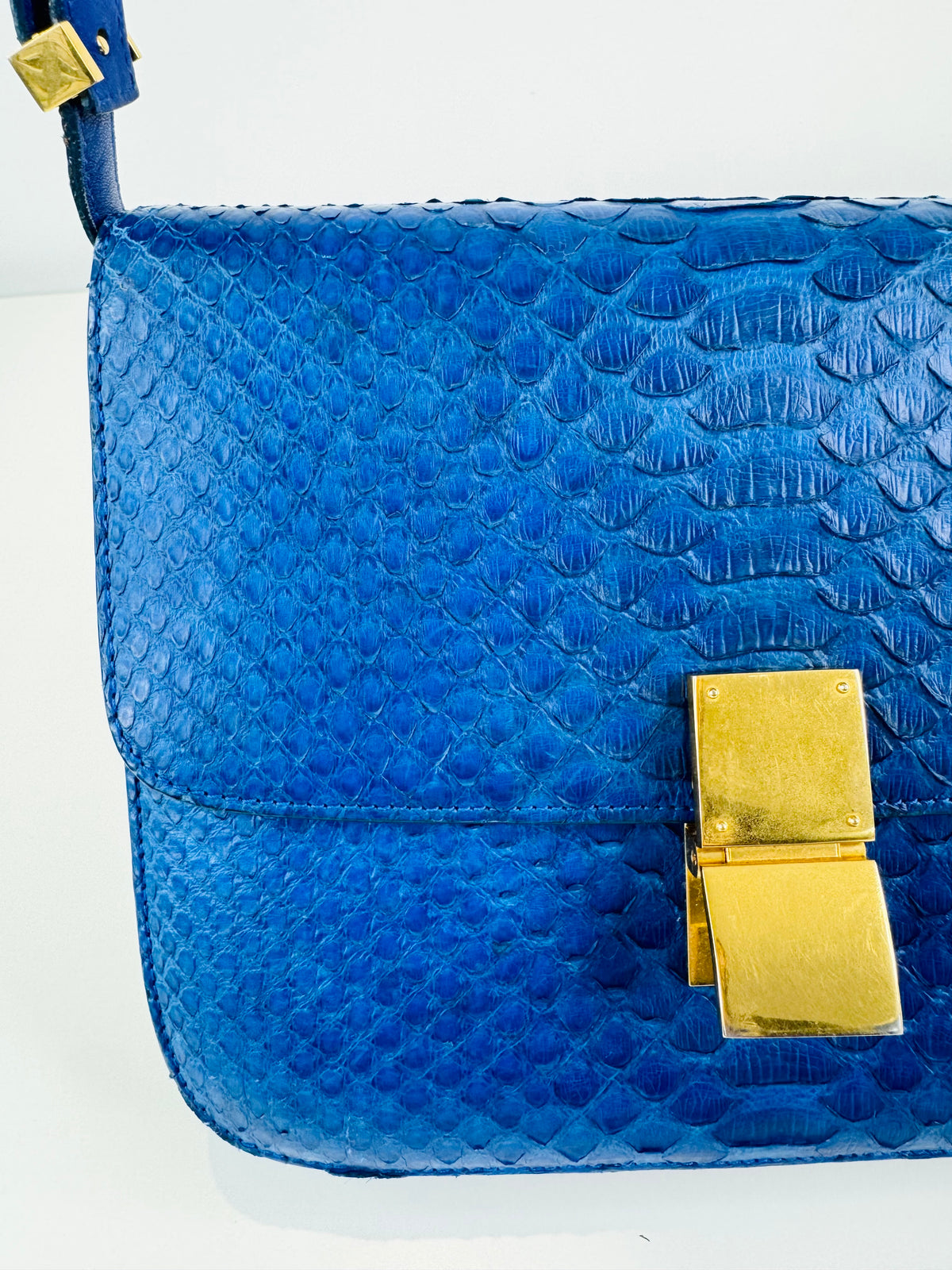 Medium Python Skin Box Bag