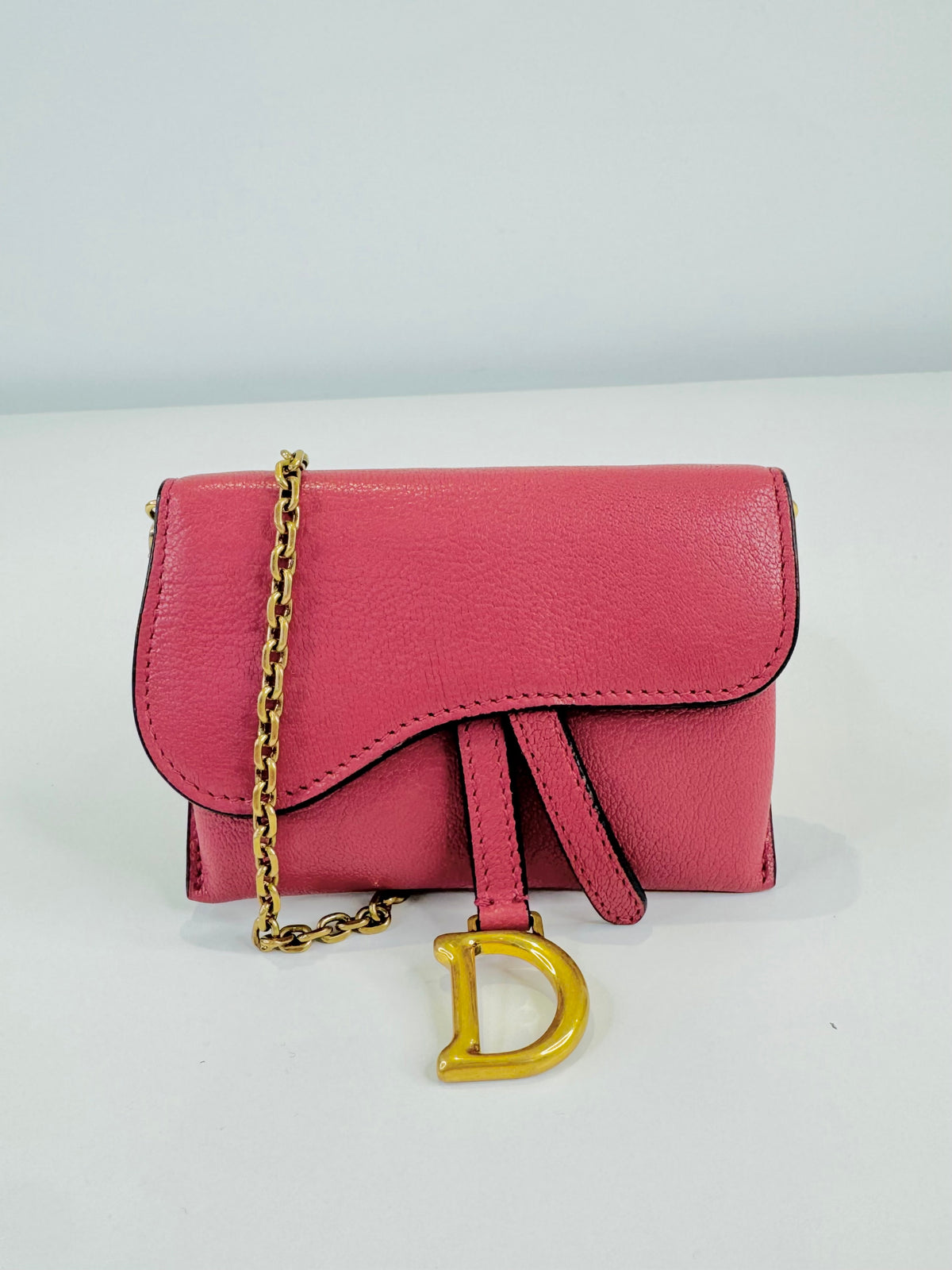Nano Saddle Chain Pouch