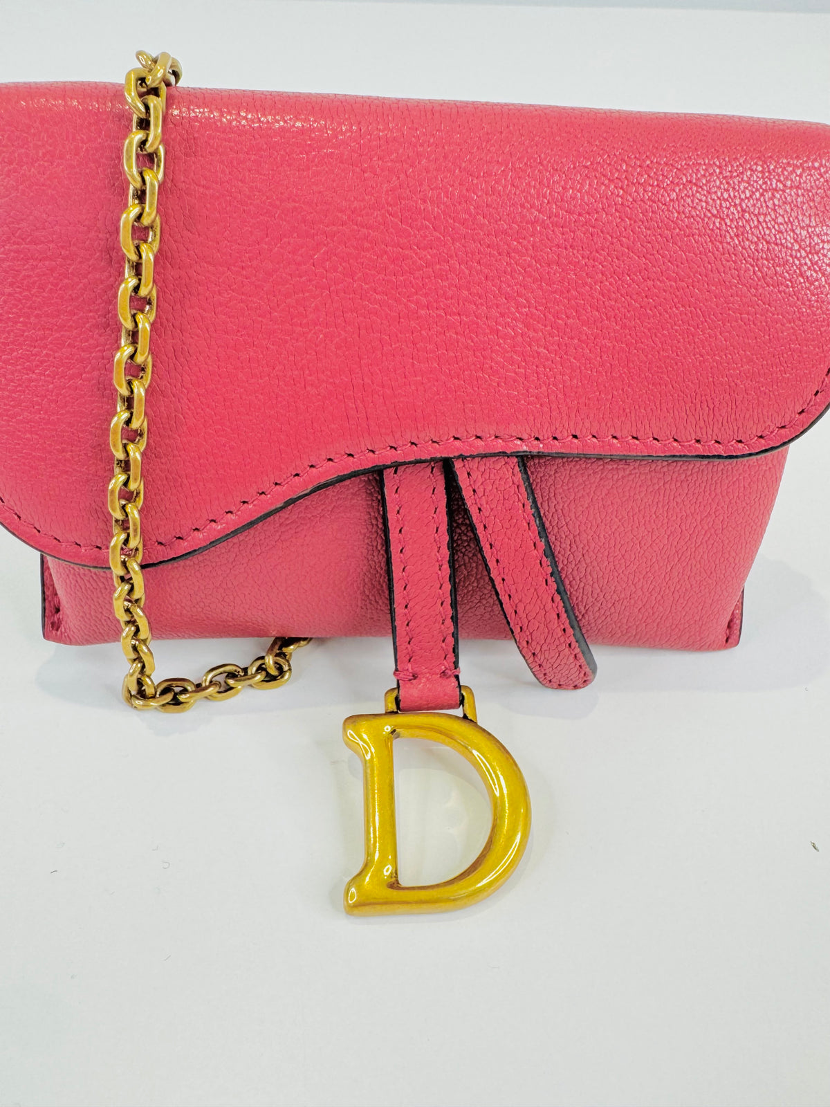 Nano Saddle Chain Pouch