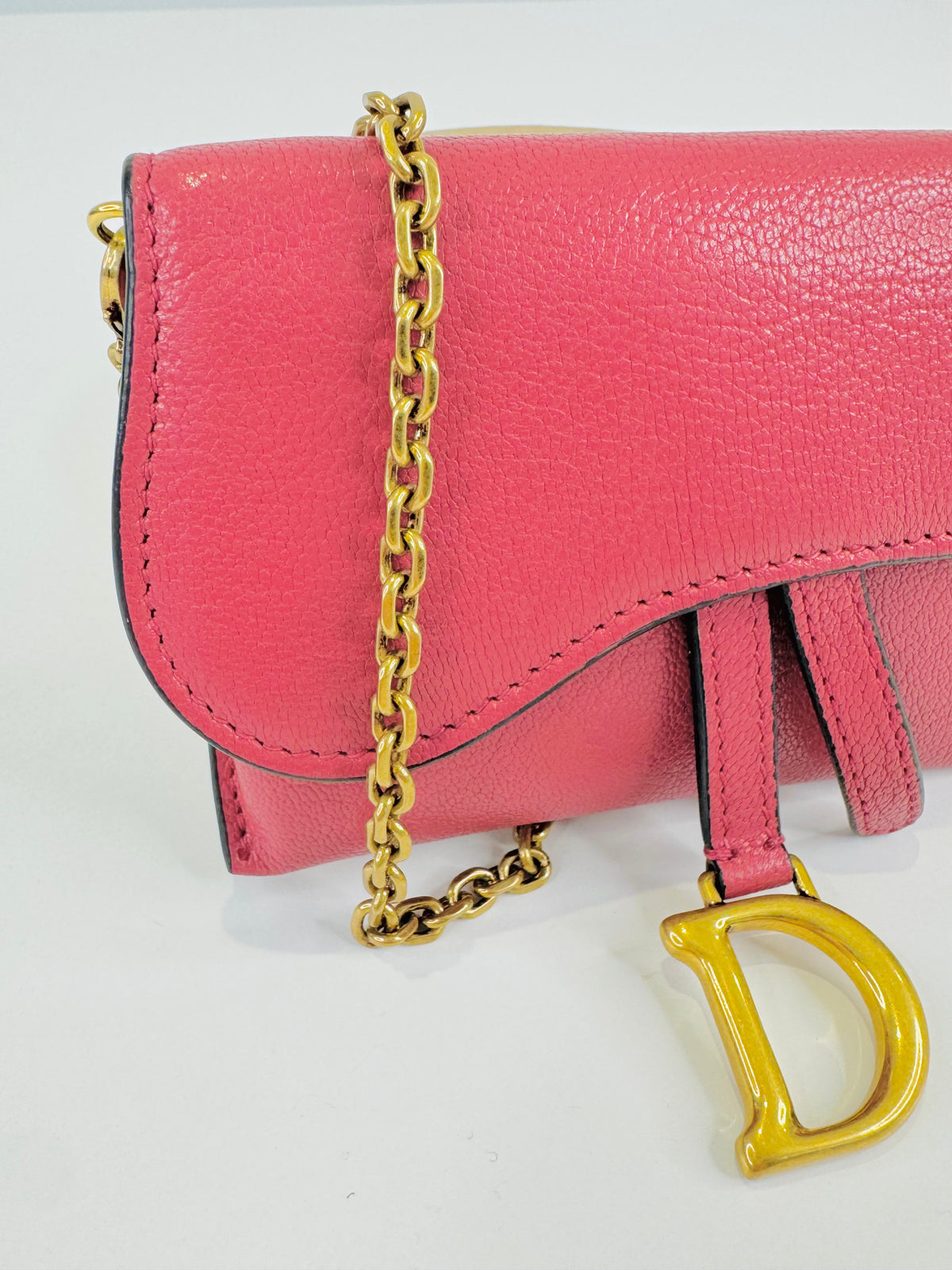 Nano Saddle Chain Pouch