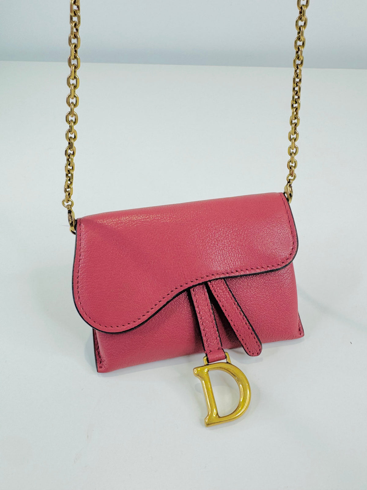 Nano Saddle Chain Pouch