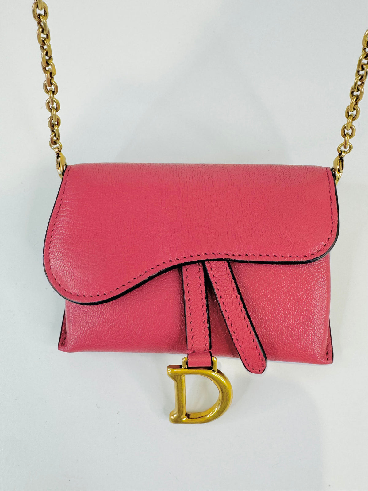 Nano Saddle Chain Pouch