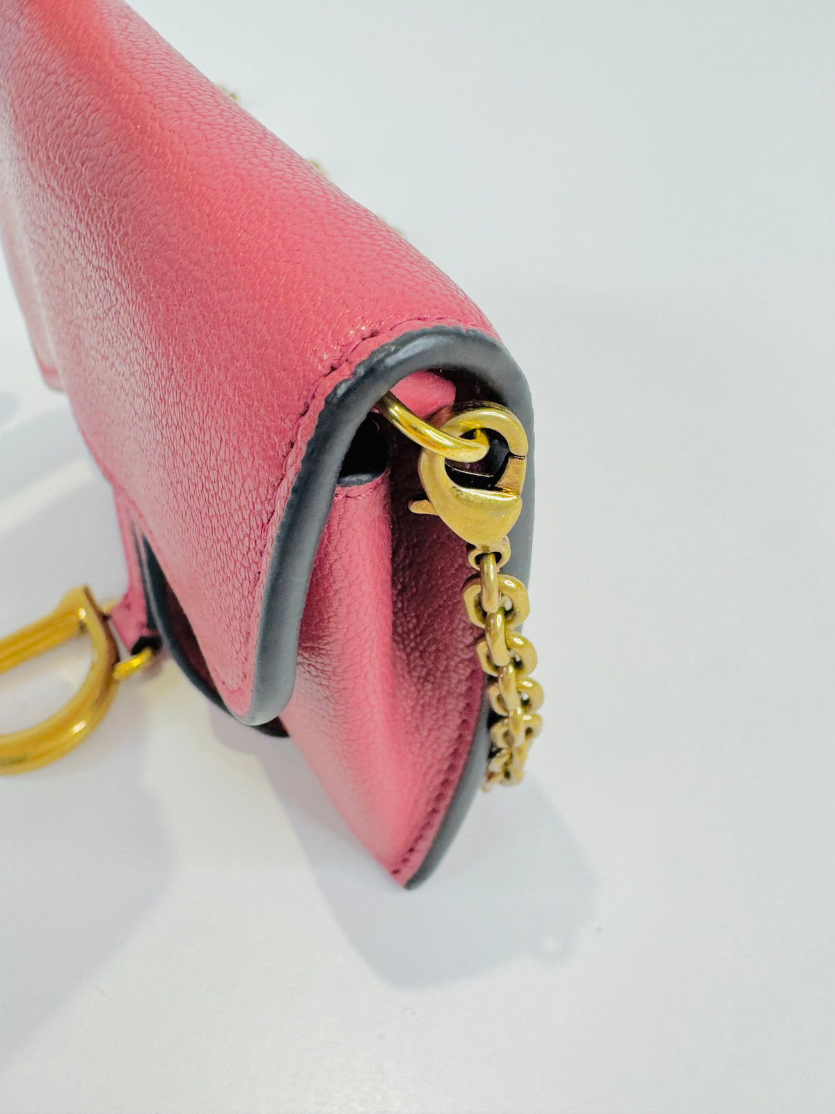 Nano Saddle Chain Pouch