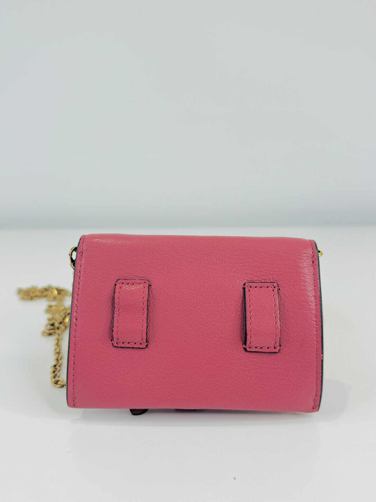 Nano Saddle Chain Pouch